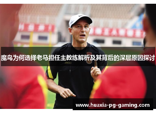 魔鸟为何选择老马担任主教练解析及其背后的深层原因探讨 魔鸟为何选择老马担任主教练解析及其背后的深层原因探讨